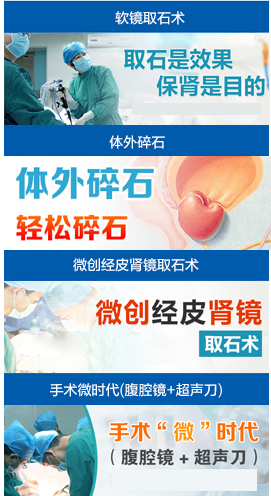 結(jié)石標(biāo)本